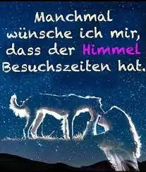 Condolence image of Angelika mit Luna ❤️