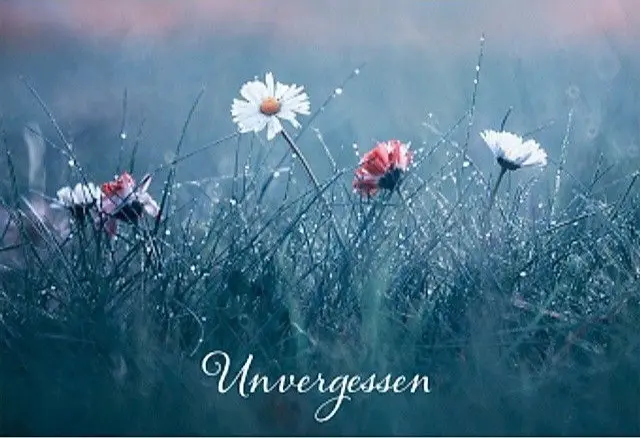 Condolence image of Claudia mit ASKO❤️ 