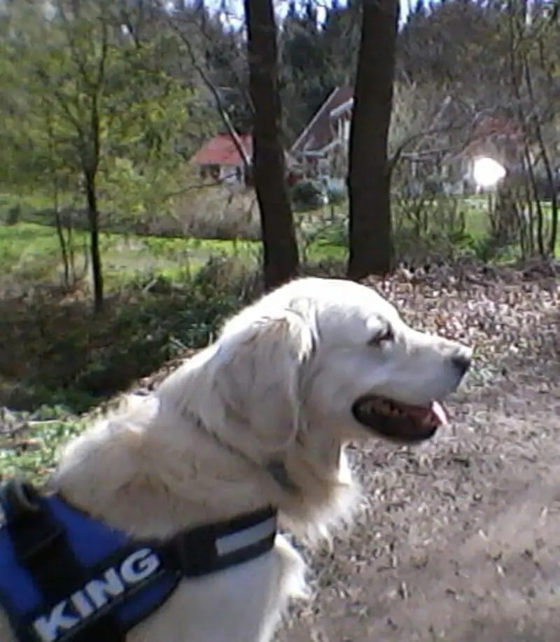 Condolence image of Claudia mit ASKO❤️ 