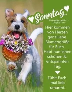 Condolence image of ❤️⭐️❤️