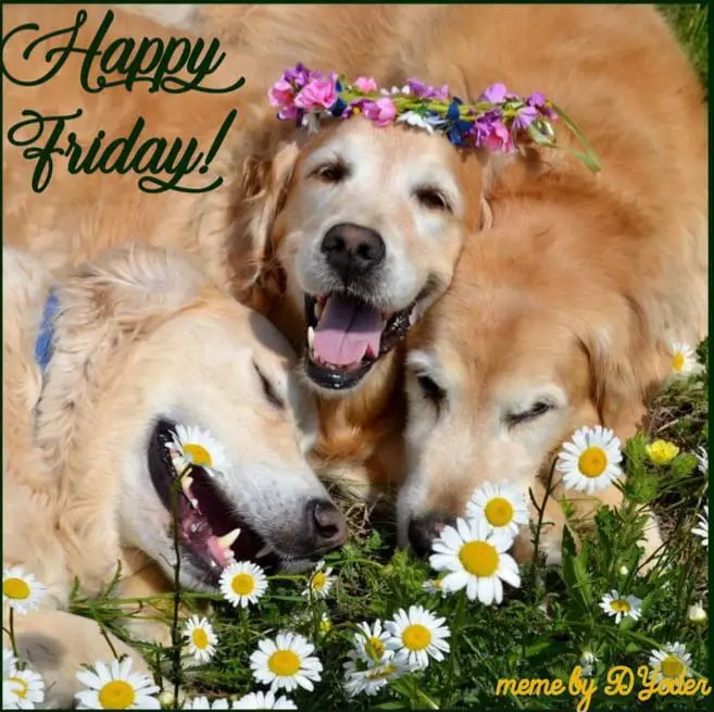 Condolence image of Claudia mit ASKO❤️ 