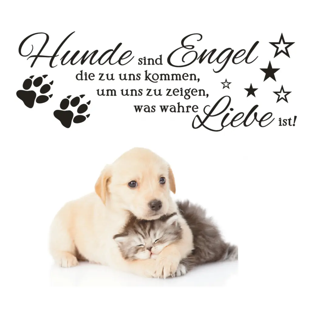 Condolence image of Angelika mit Luna ❤️