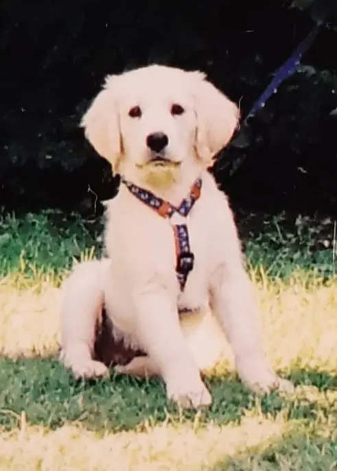 Condolence image of Claudia mit ASKO❤️