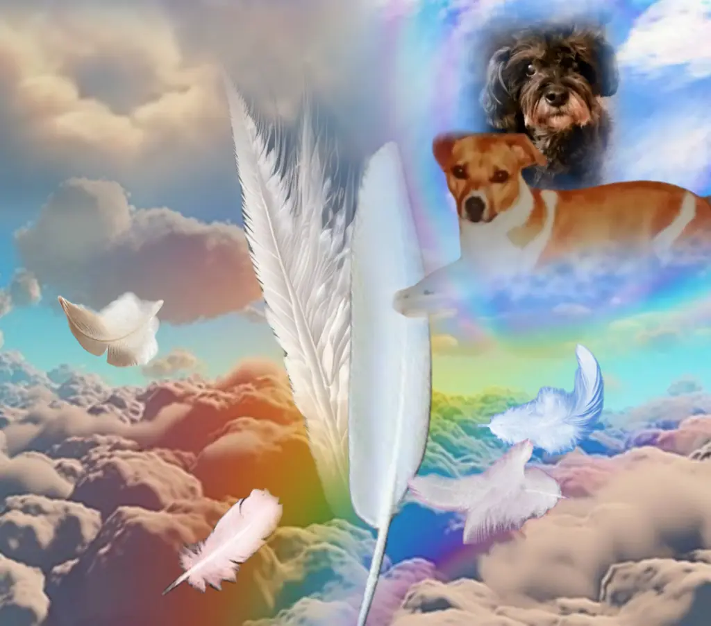 Condolence image of ♥️Grüße aus dem Himmel♥️