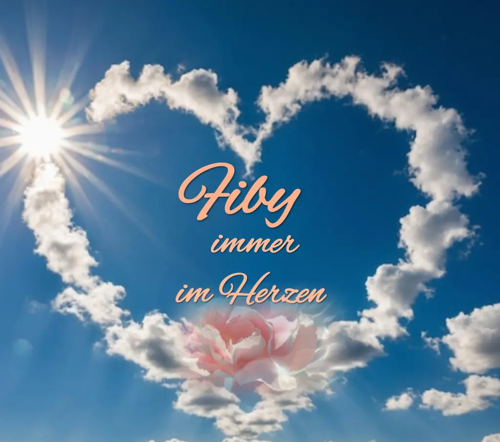 Condolence image of 45 Monate ..... Sehnsucht ❤️