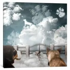 Condolence image of ❤️ Luna ❤️