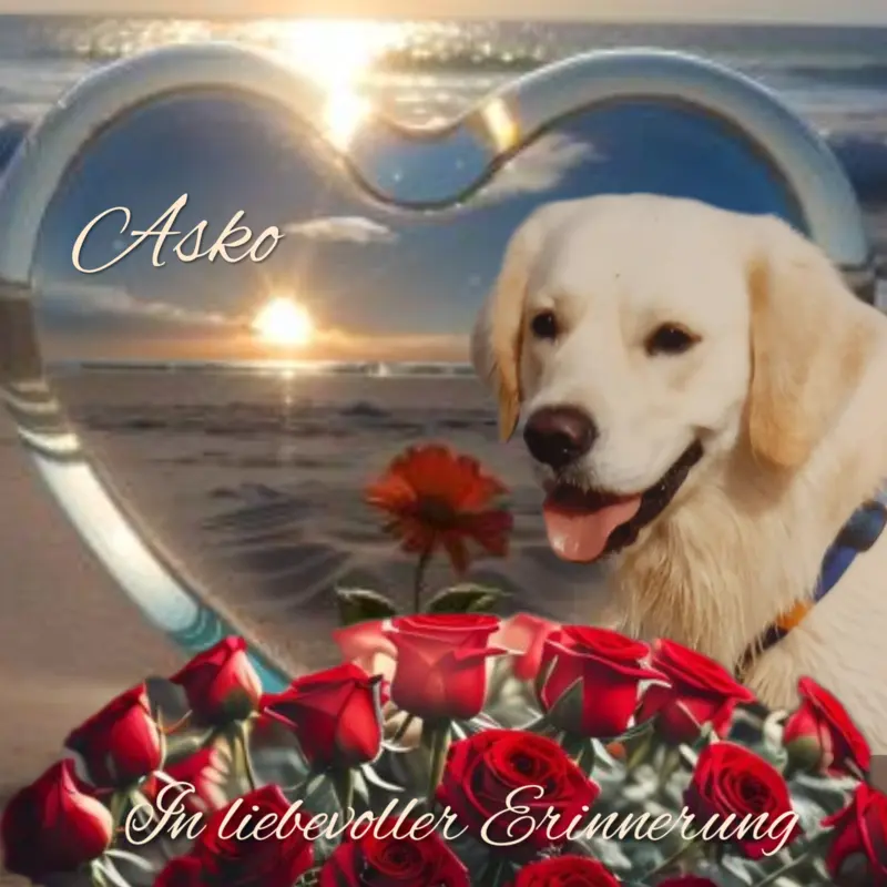 Condolence image of Claudia mit ASKO❤️