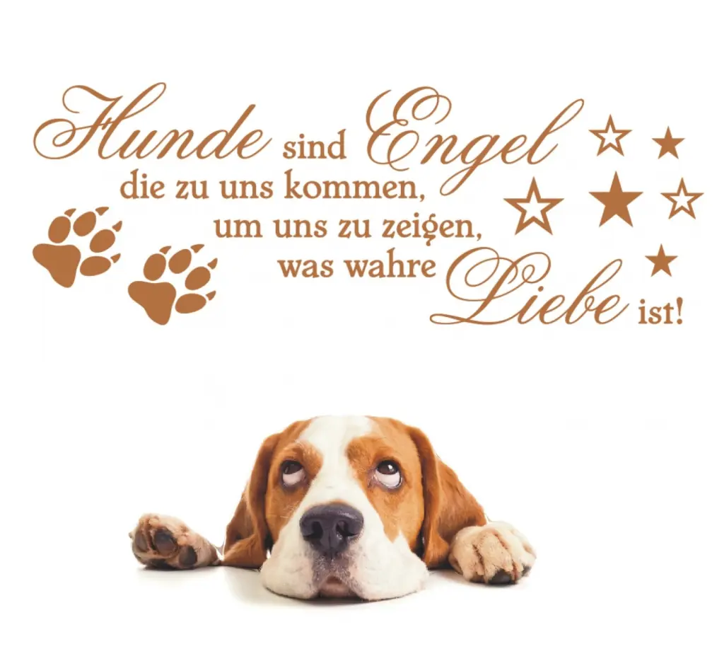 Condolence image of Wenke mit Lilli im Herzen ♥️