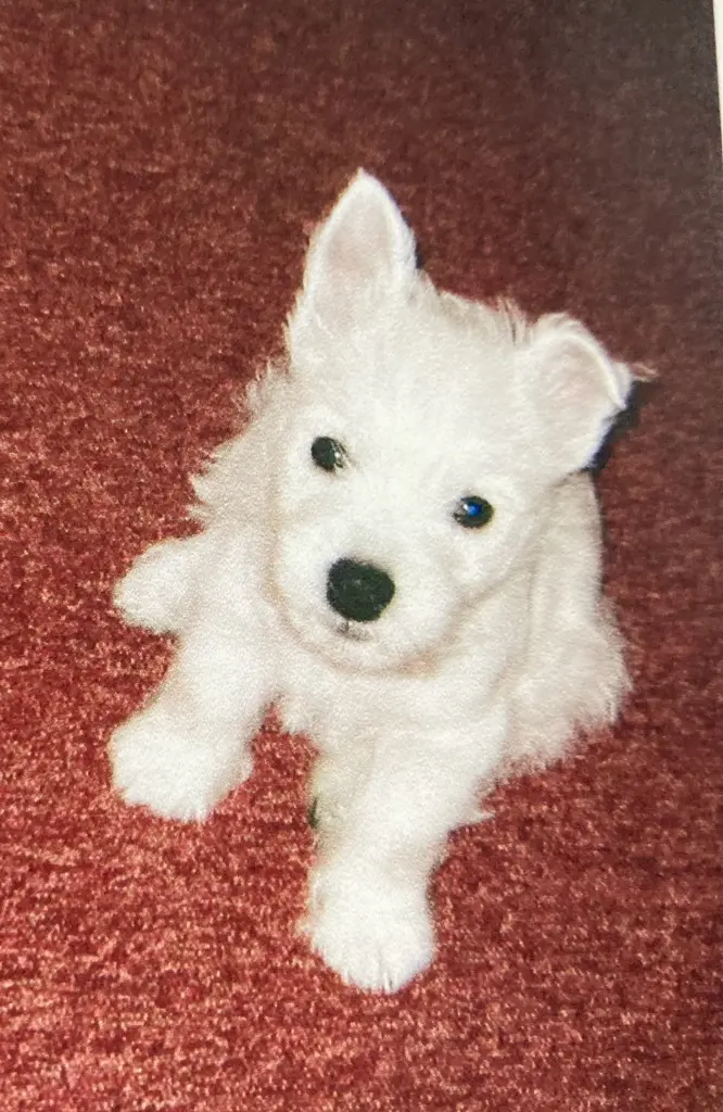 Condolence image of Unbekannt