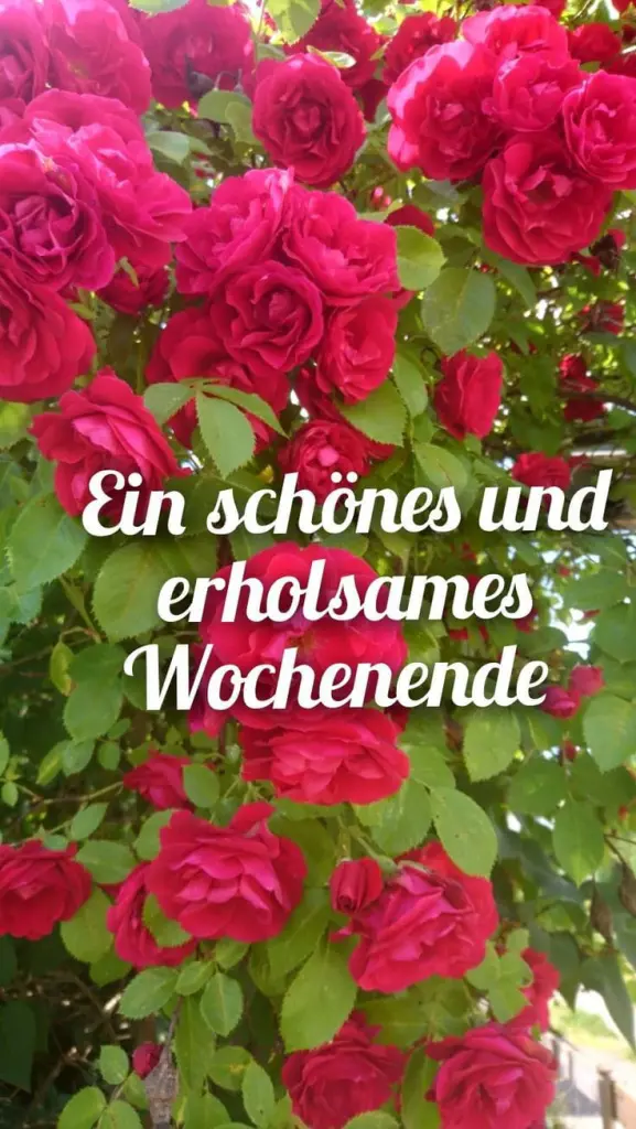 Condolence image of Claudia mit ASKO❤️