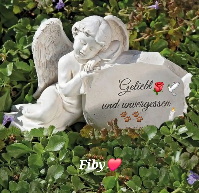 Condolence image of Claudia mit ASKO❤️ 