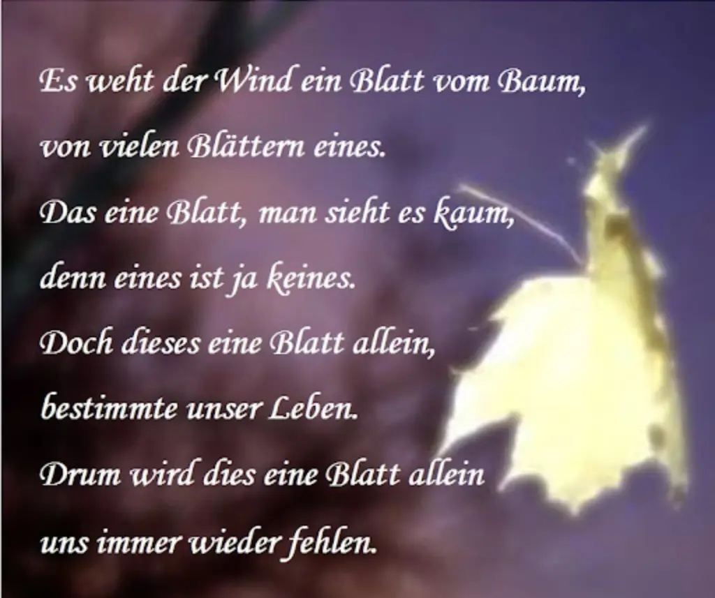 Condolence image of Wenke mit Lilli ❤️tief im ❤️