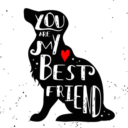 Condolence image of ❤️ Zum Welthundetag ❤️