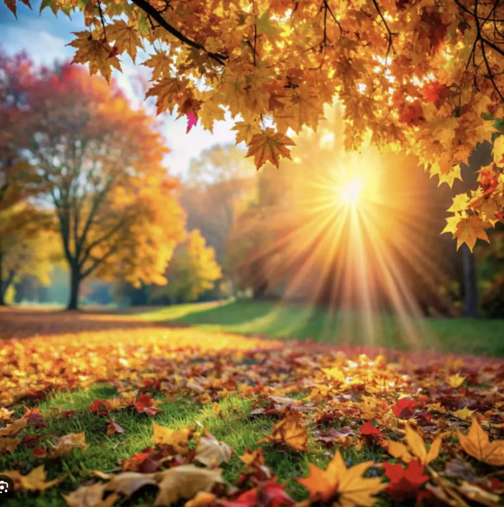 Condolence image of Wenke mit Lilli tief im ❤️