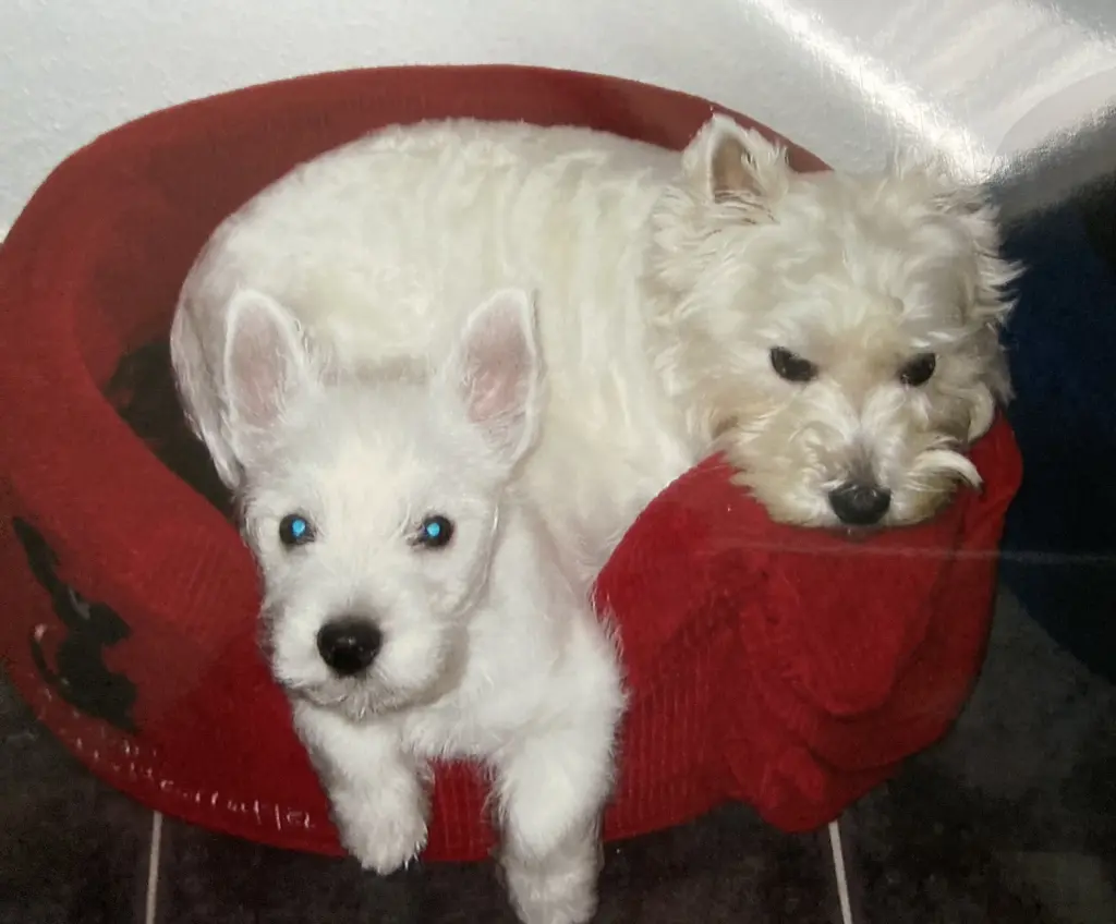 Condolence image of Unbekannt