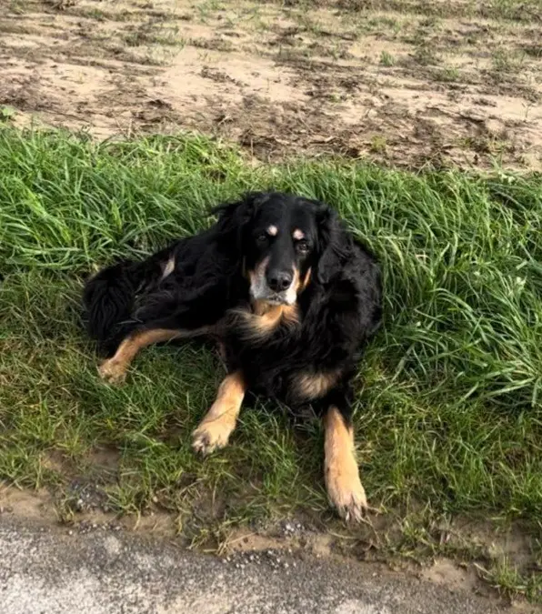 Condolence image of ❤️ In stillem Gedenken❤️