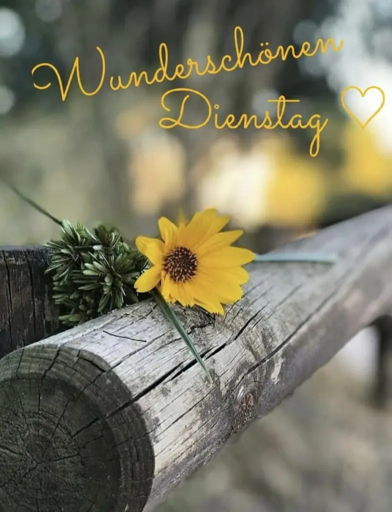 Condolence image of Wenke mit Lilli im ❤️