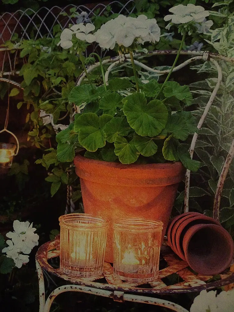 Condolence image of Manuela mit Seelenhund Flick