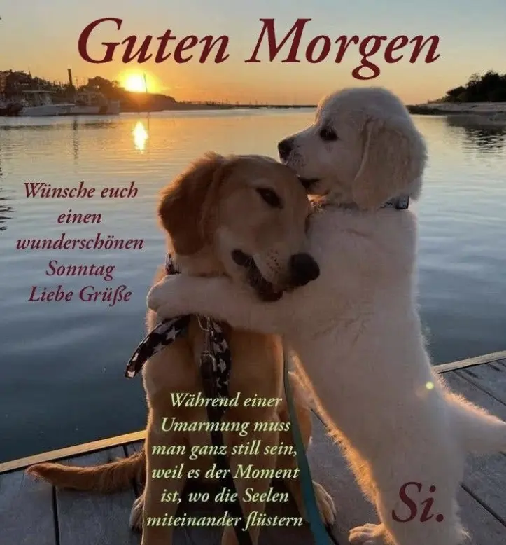 Condolence image of Unbekannt