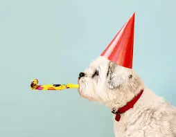 Condolence image of Angelika mit Luna ❤️