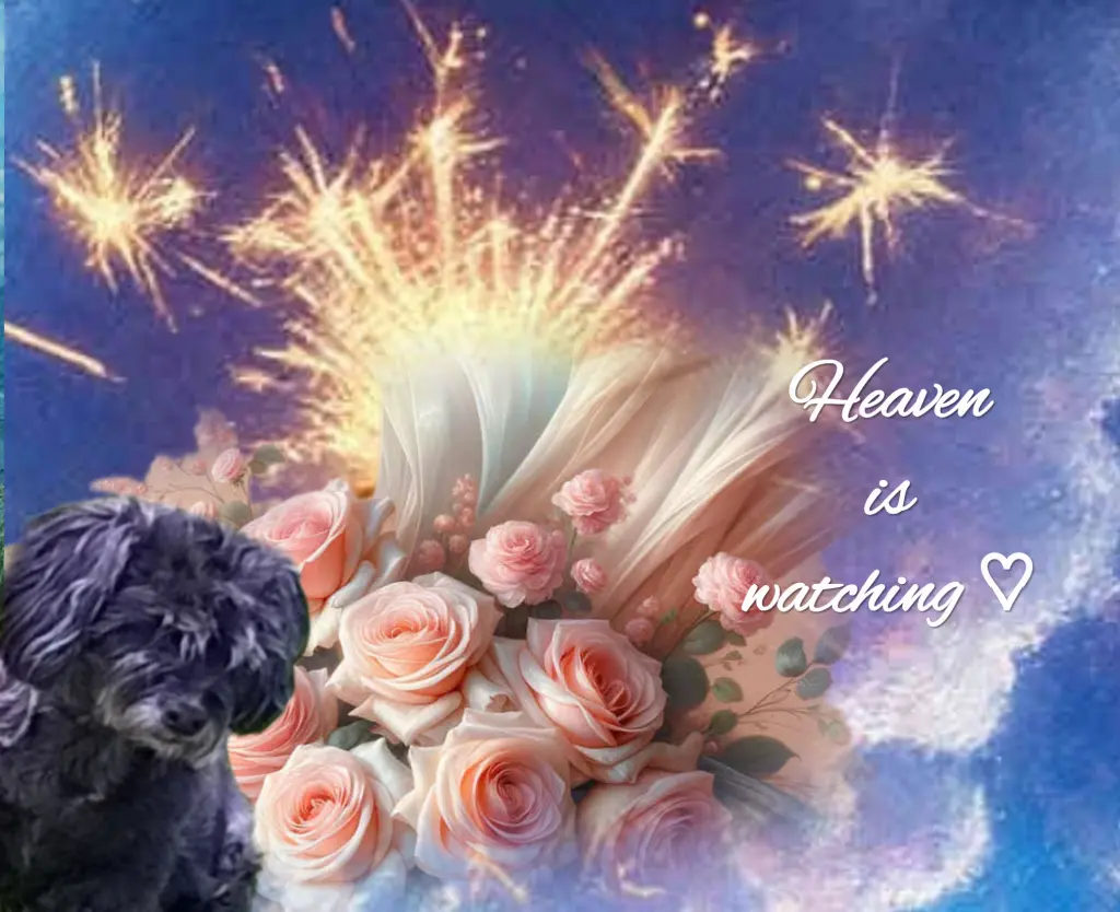 Condolence image of ♡Herzen ♡