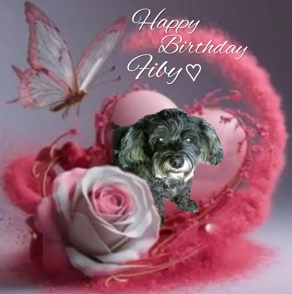 Condolence image of Für Fiby♥️