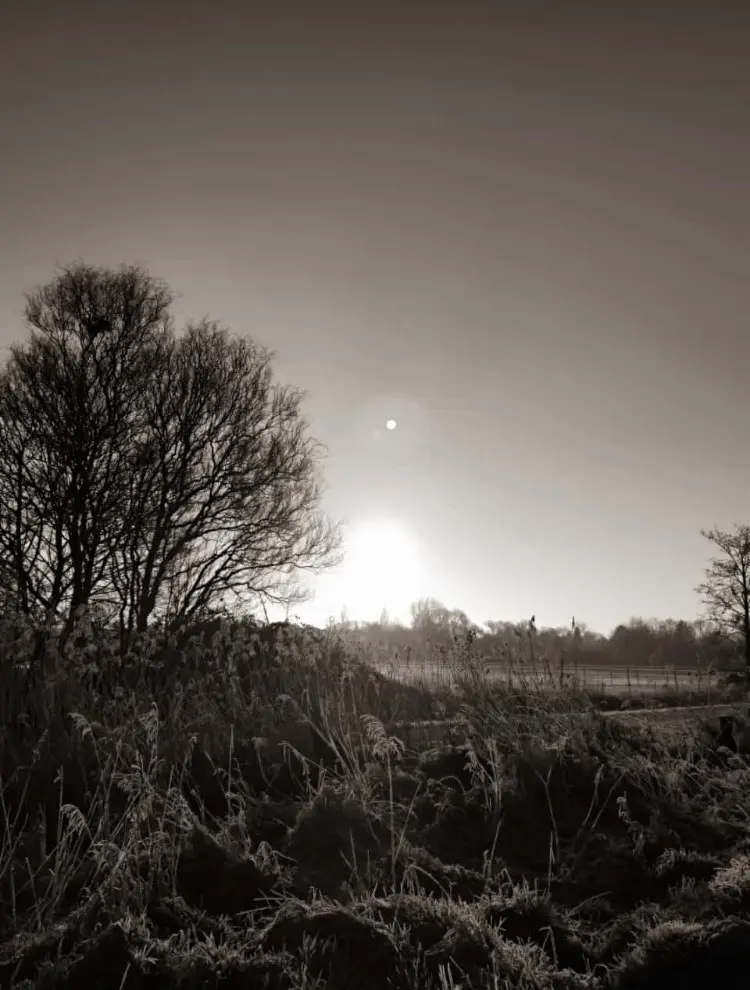 Condolence image of Unbekannt