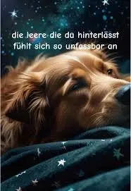 Condolence image of Angelika mit Luna ❤️