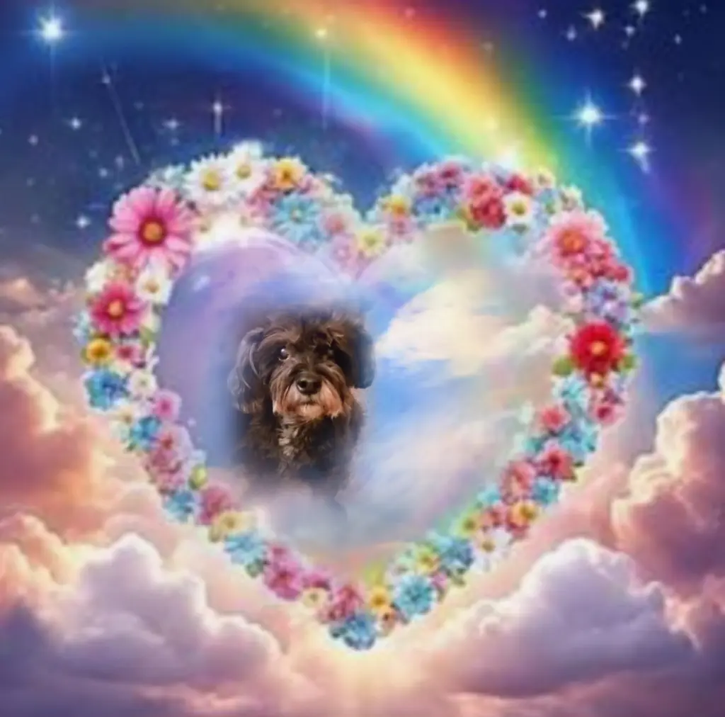 Condolence image of ♥️♥️