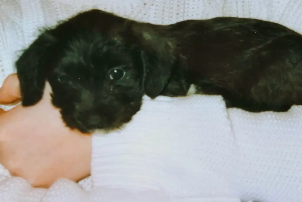 Condolence image of M + P ❤️❤️