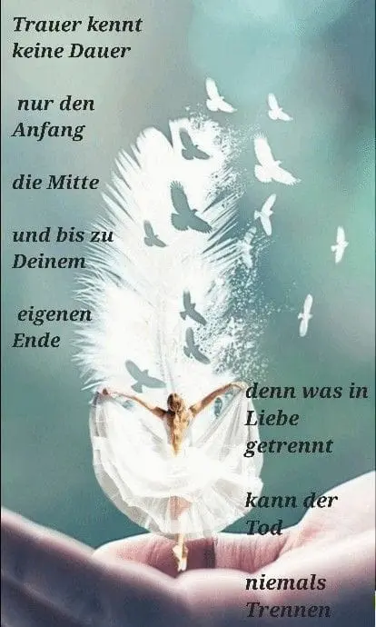 Condolence image of Claudia mit ASKO❤️