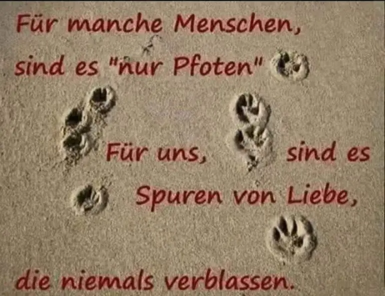 Condolence image of Claudia mit ASKO♥️ 