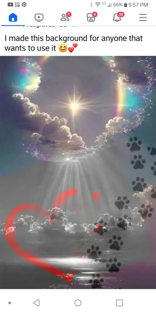 Condolence image of Helmut