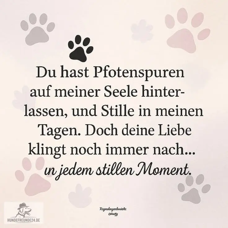 Condolence image of Manuela mit Fiby im ❤️