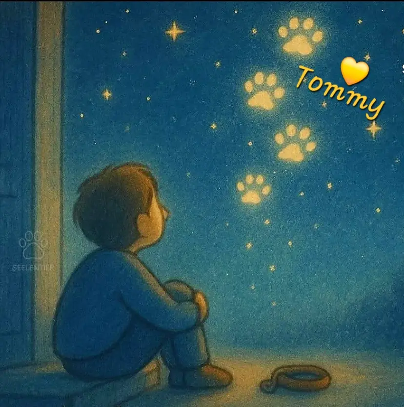 Condolence image of Für Tommy❤️