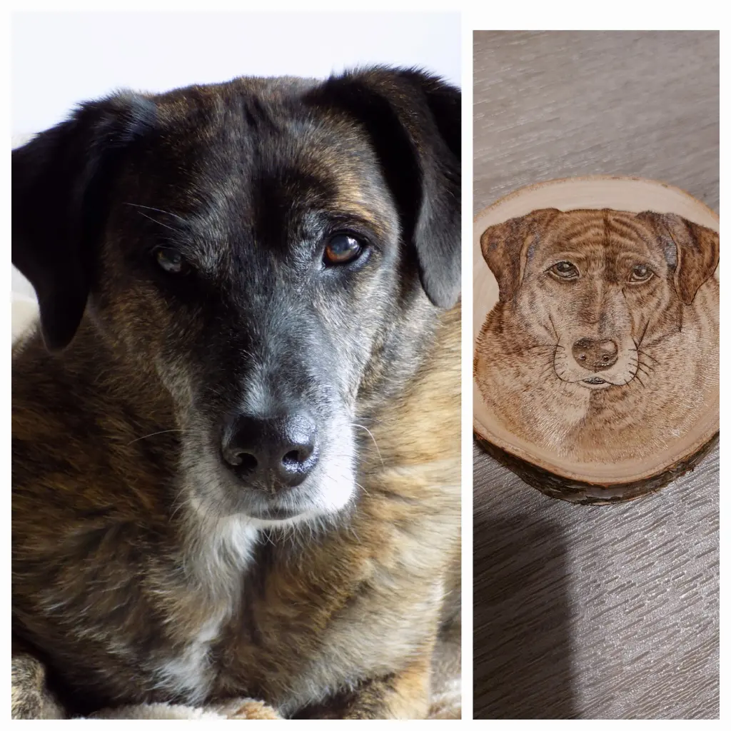 Condolence image of Gabi mit Max