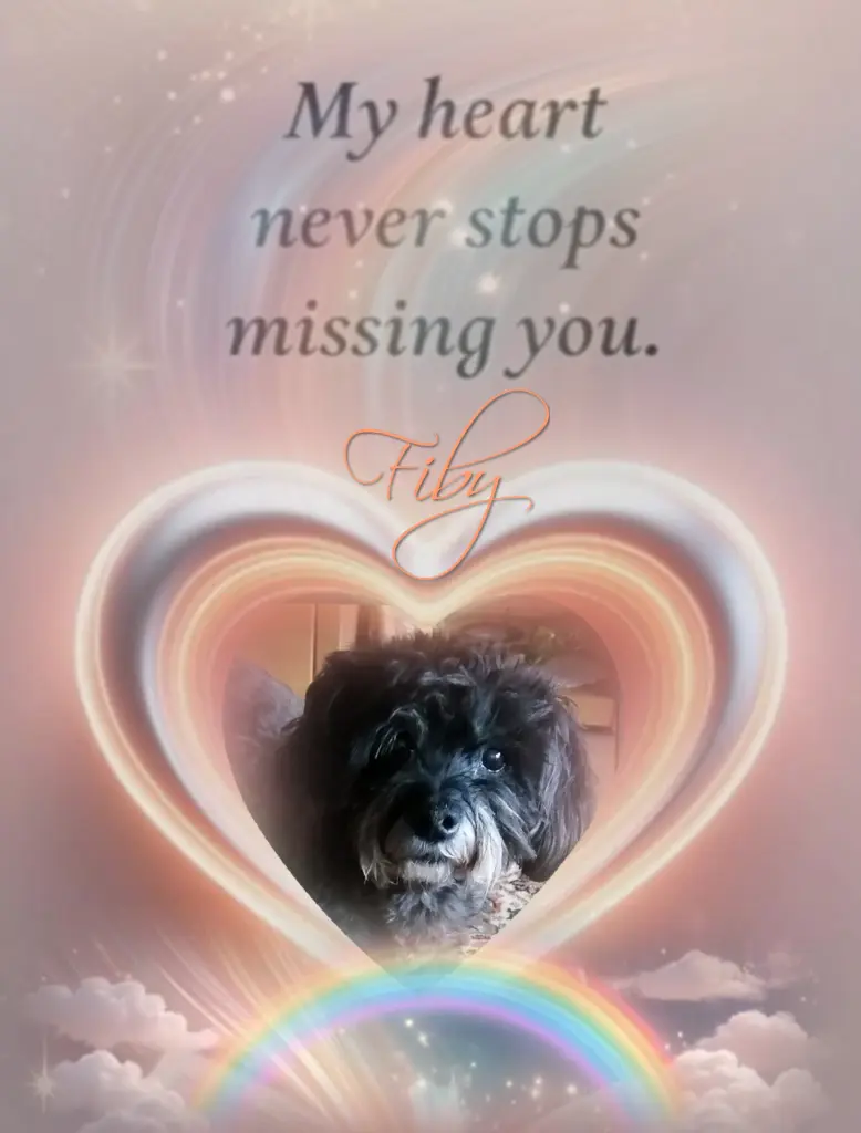 Condolence image of Fiby♥️ geliebt♥️ und unvergessen♥️