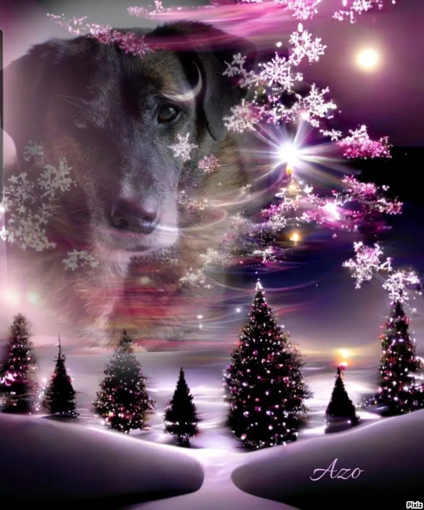 Condolence image of Gabi mit Max