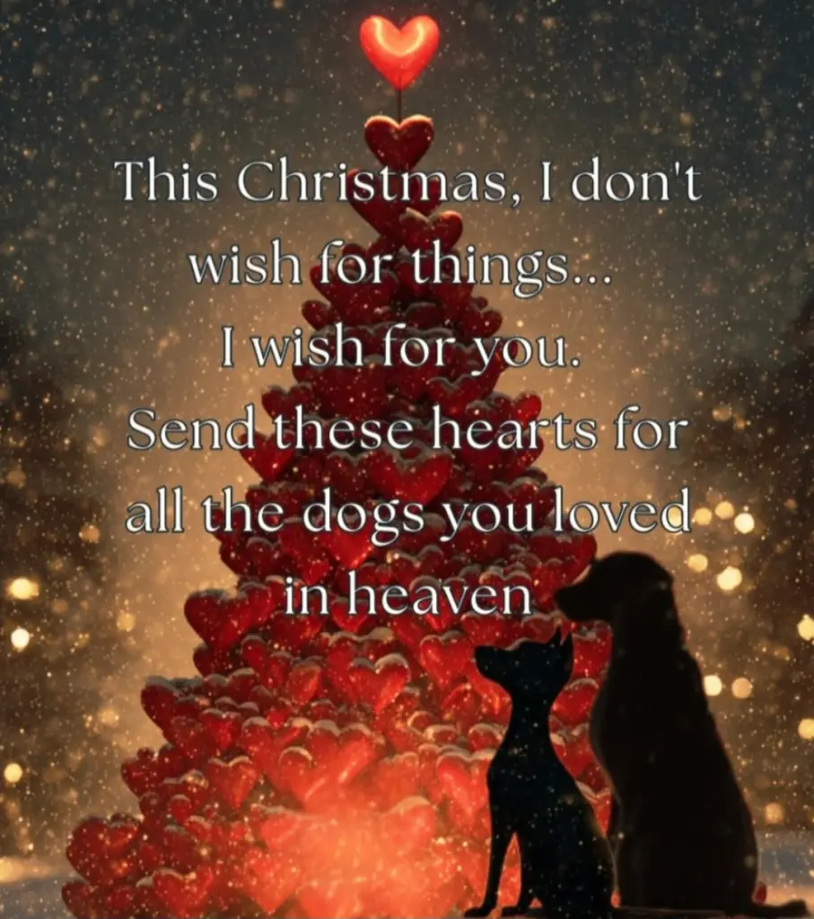 Condolence image of 🎄 Weihnachten 🎄