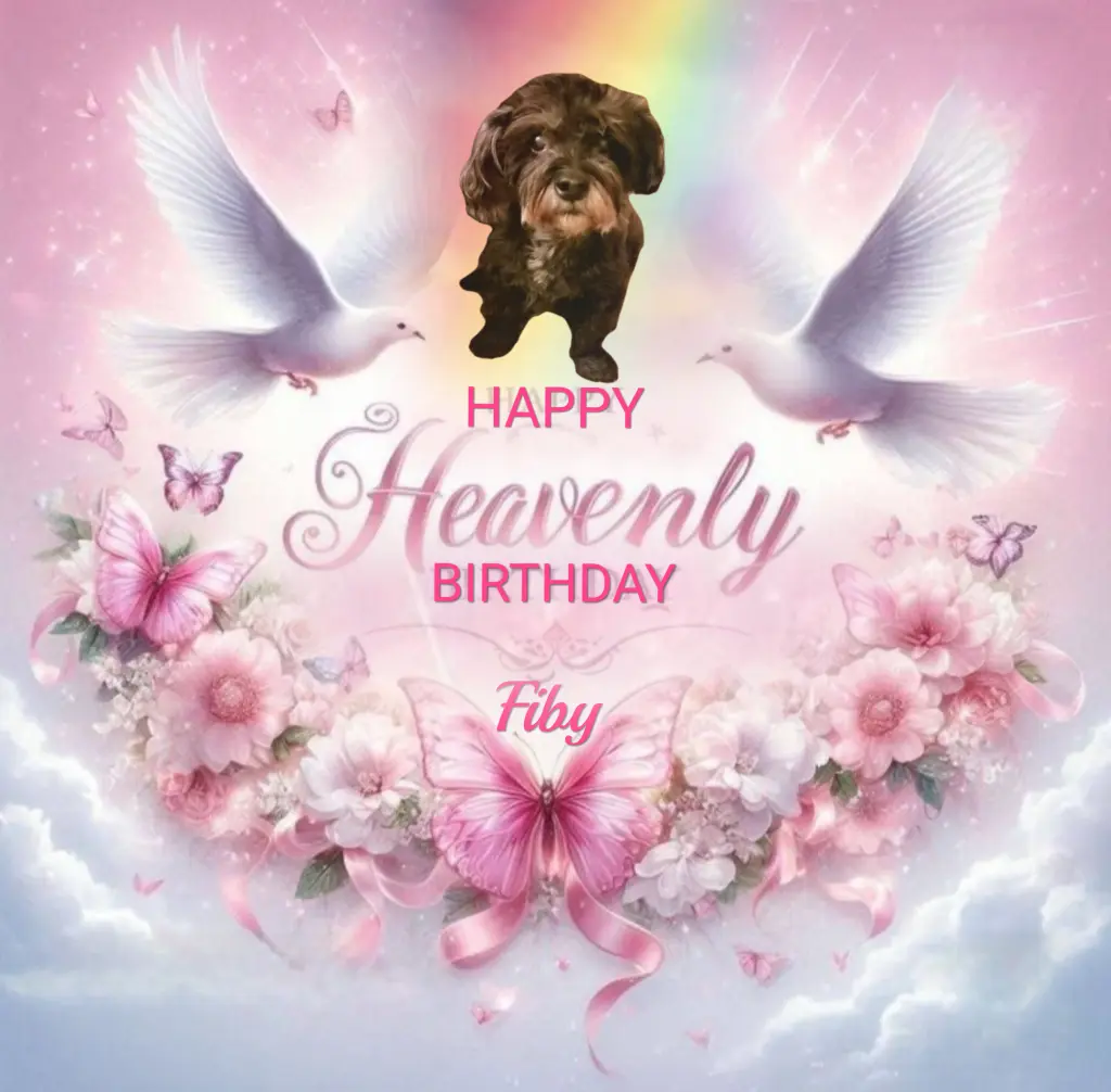 Condolence image of 🌹♥️Happy Birthday Fiby♥️🌹