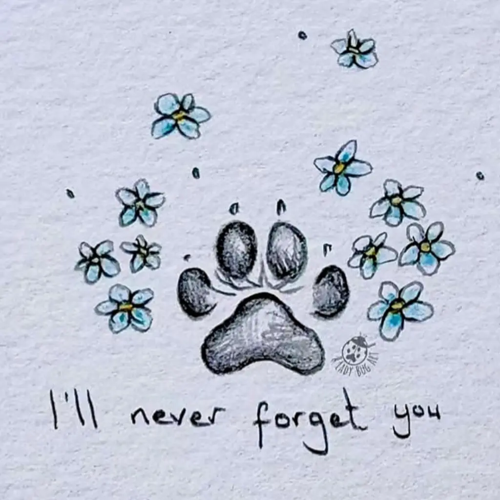 Condolence image of ❤️ Mucky-Maus ❤️ für immer im Herzen ❤️