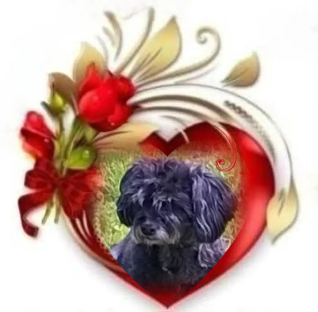 Condolence image of 🌹Fiby🌹 geliebt♥️ und unvergessen♥️