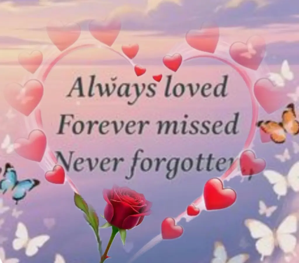 Condolence image of 🌹O'Shira🌹 geliebt♥️ und unvergessen♥️