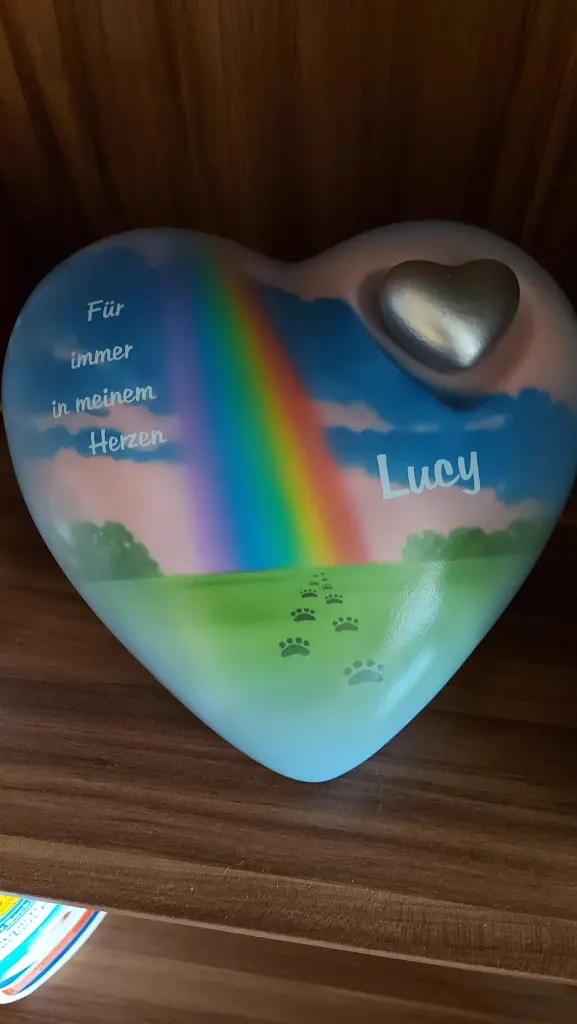 Image from Lucy