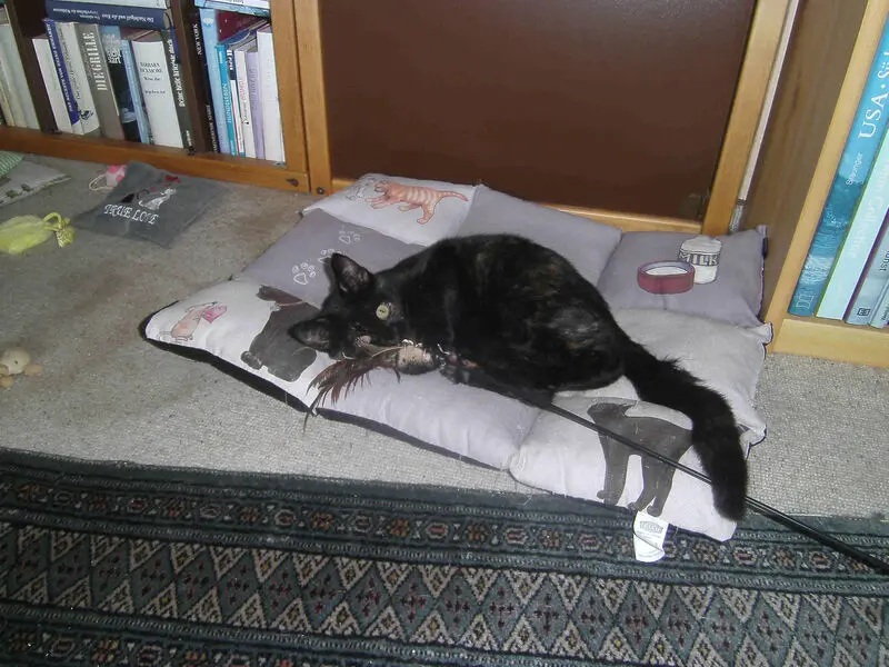 Condolence image of Susanne