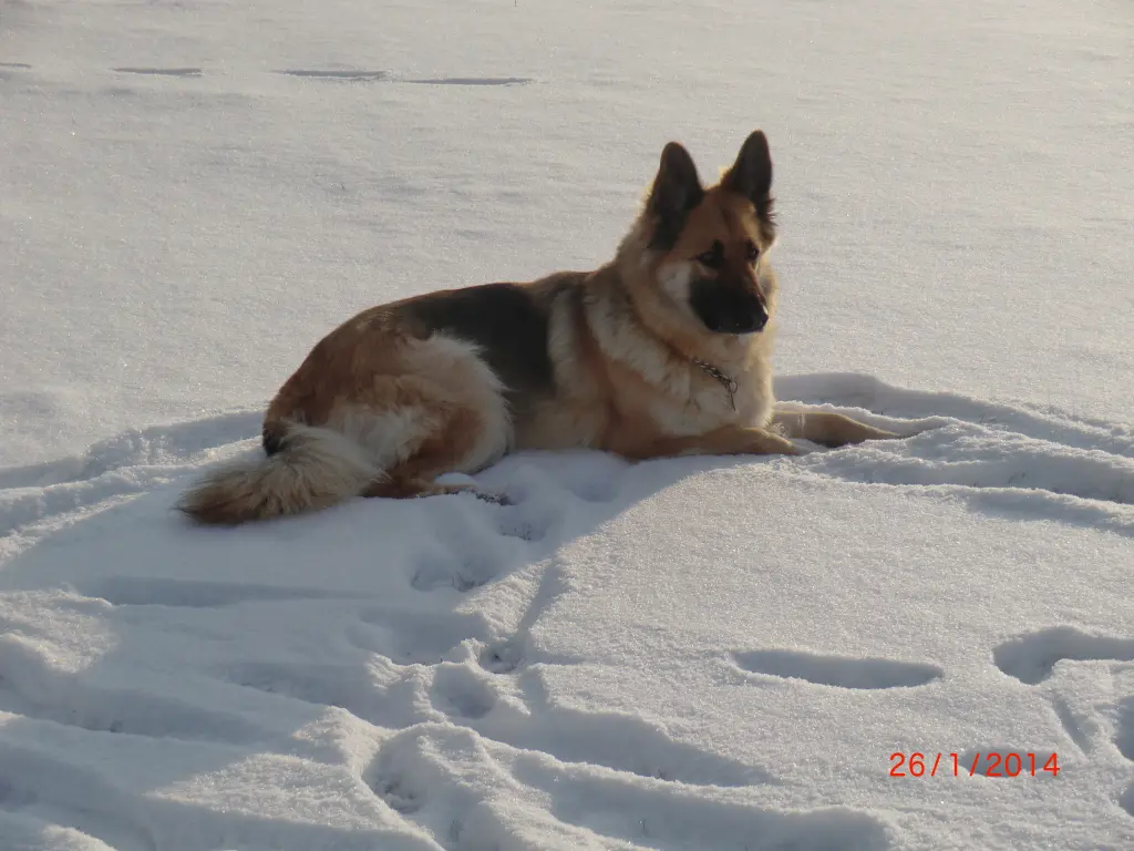 Image from Roxy