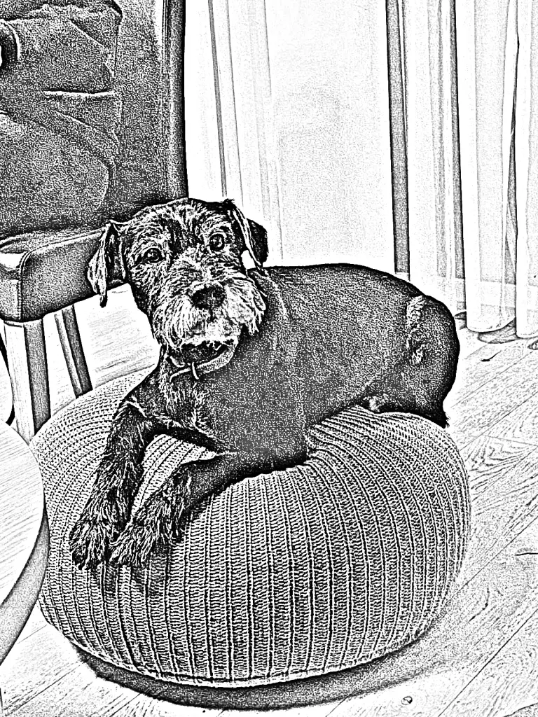 Image from Chipsy 