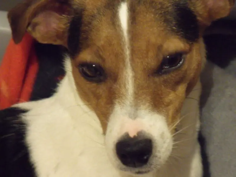 Condolence image of Elfi * Ewald