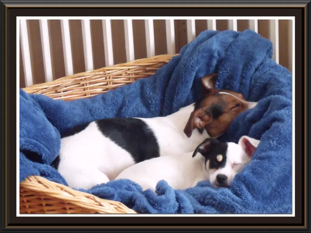 Condolence image of ELFI,EWALD und BEA