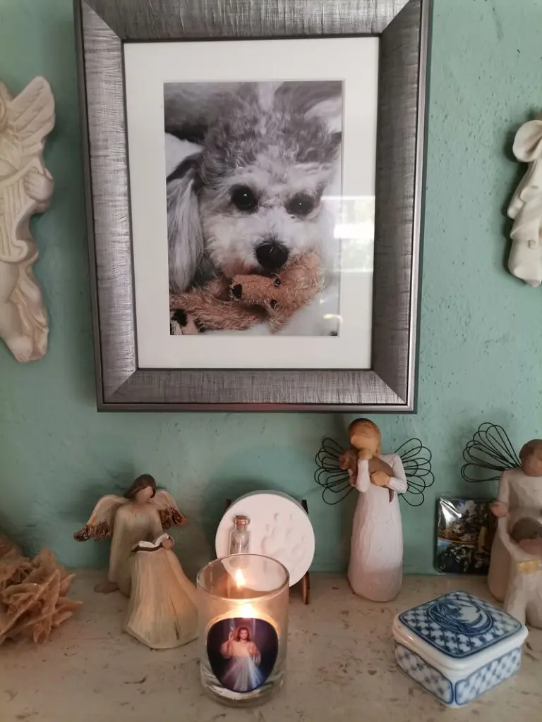 Condolence image of Patricia